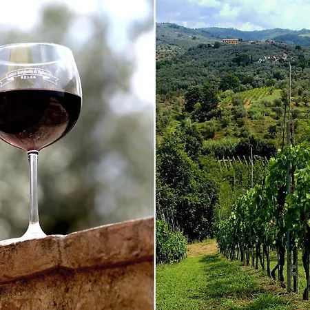 Antico Borghetto Di Tigliano * Vinci