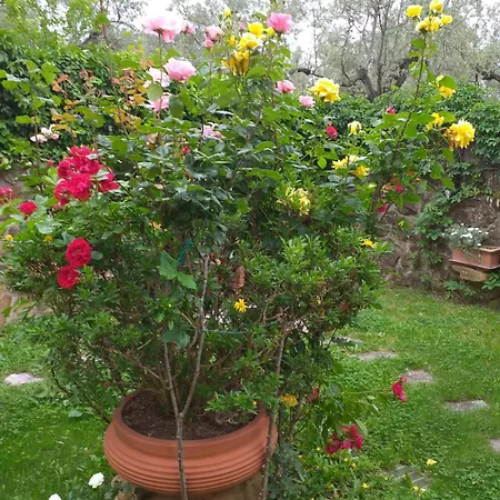 Villa Antico Borghetto Di Tigliano *