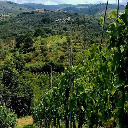 Antico Borghetto Di Tigliano *