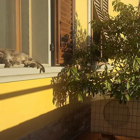 Antico Borghetto Di Tigliano *